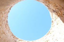rutafoto