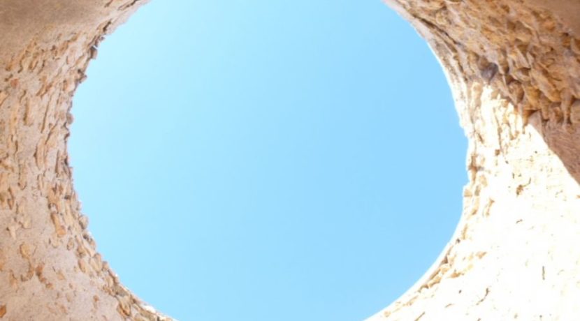rutafoto