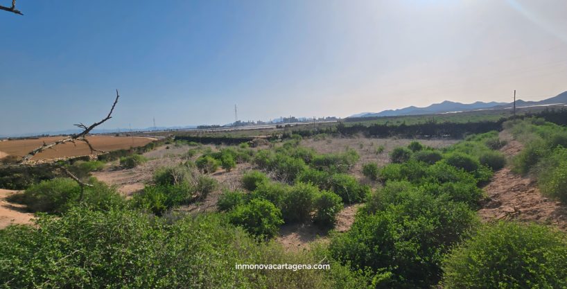 Venta de Terreno Rustico en LA ALJORRA