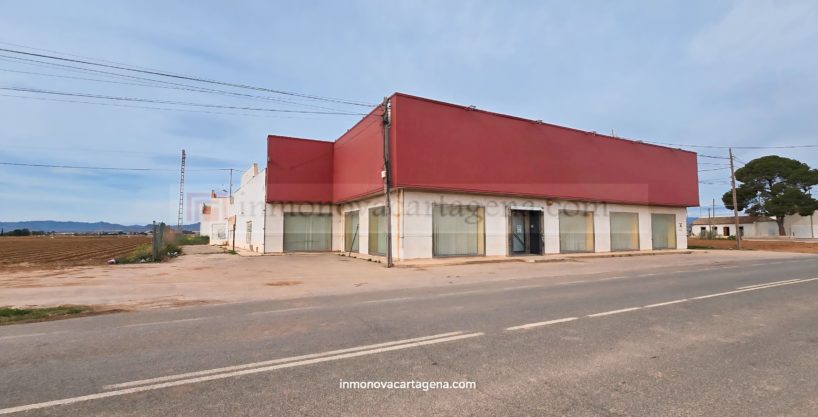 Venta de Nave Industrial en EL ALBUJON